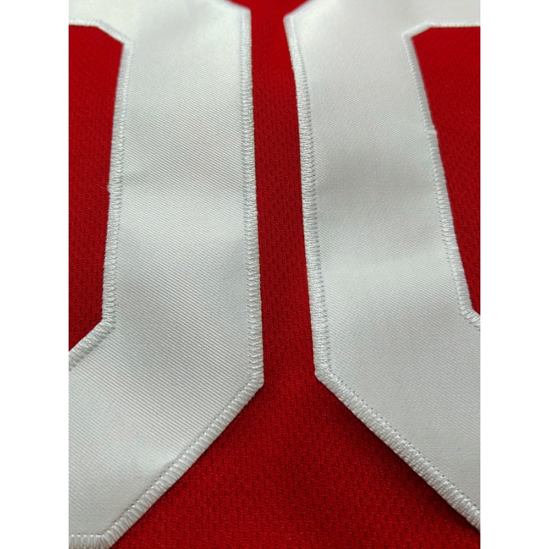 Camiseta de baloncesto con nom - Embroidery Names reseña y precio