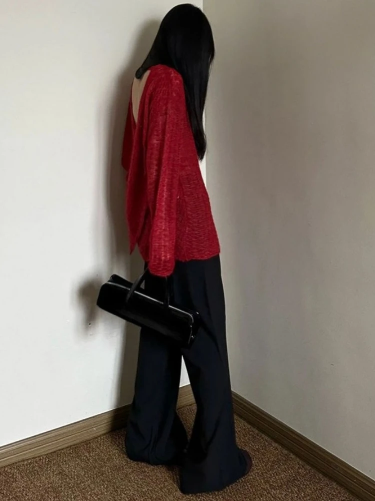 Camiseta de punto transparente - Embroidery A reseña y precio